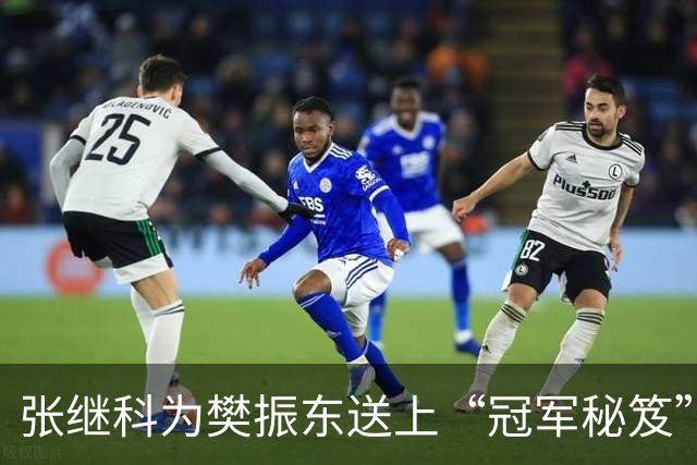 张继科为樊振东送上“冠军秘笈”，国乒兄弟情满满
